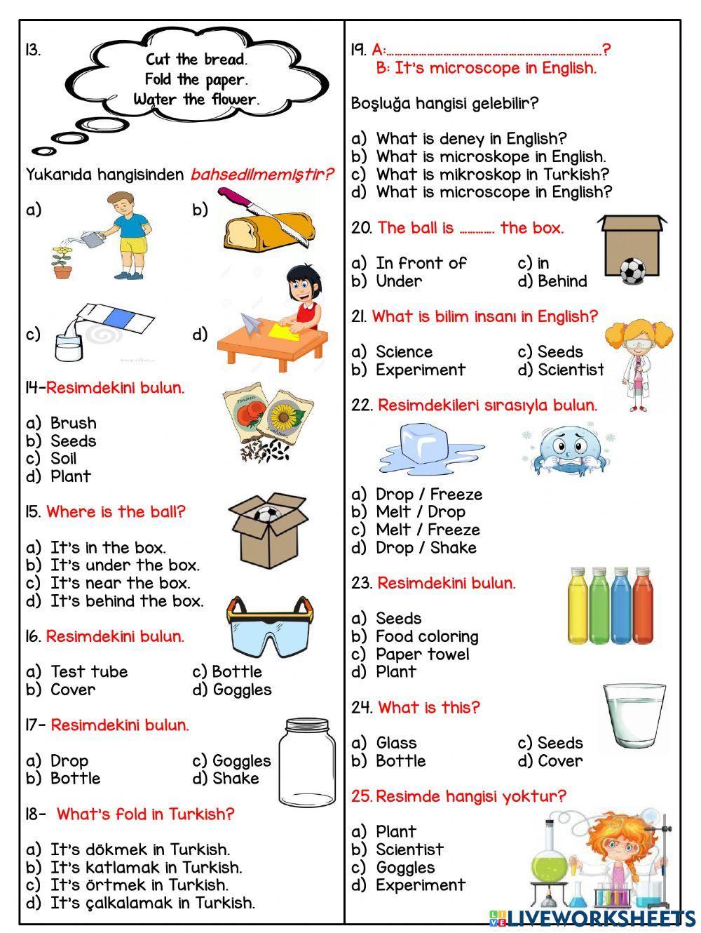 4.6 Fun With Science Test