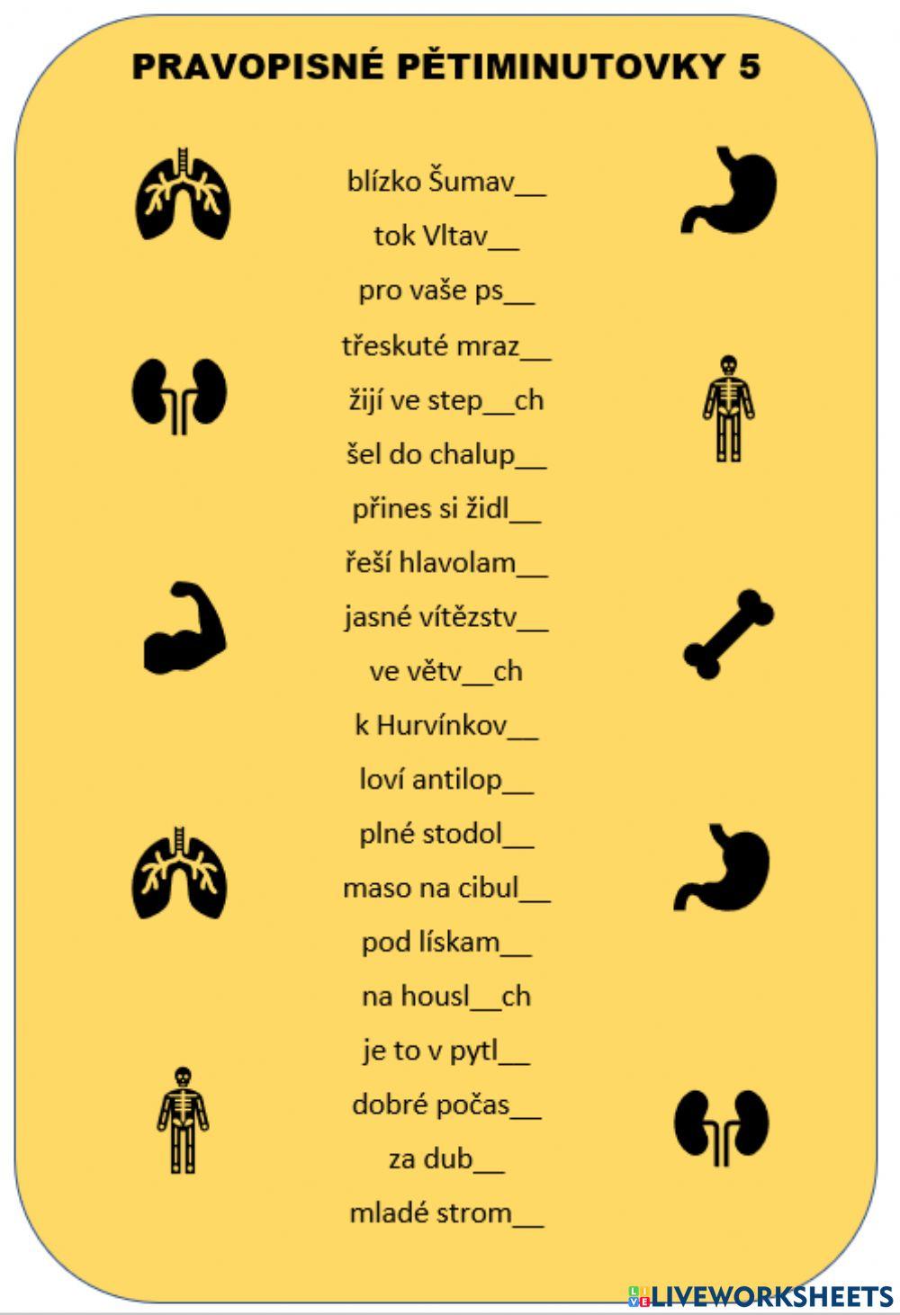 Koncovky podstatných jmen