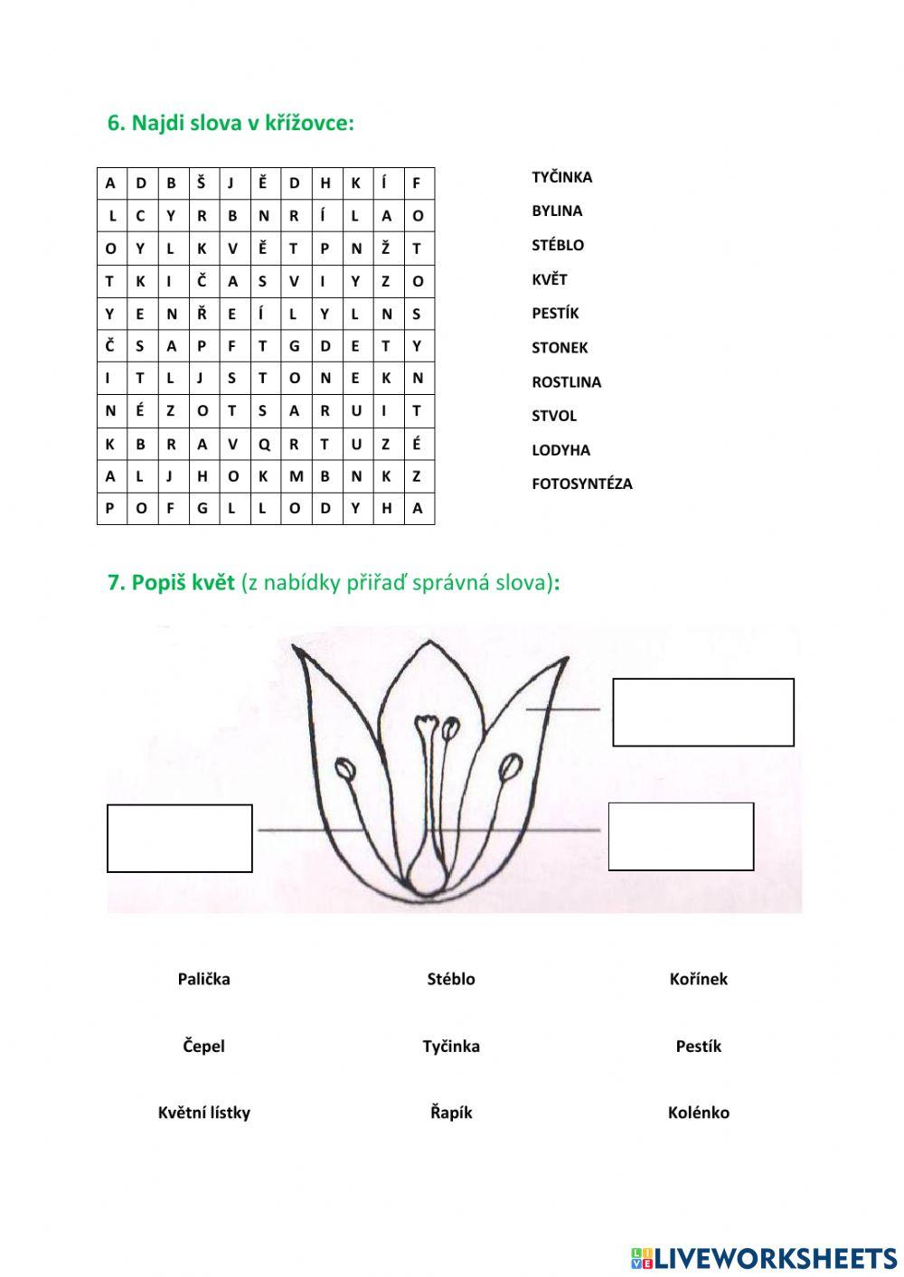 Pracovní list - rostliny