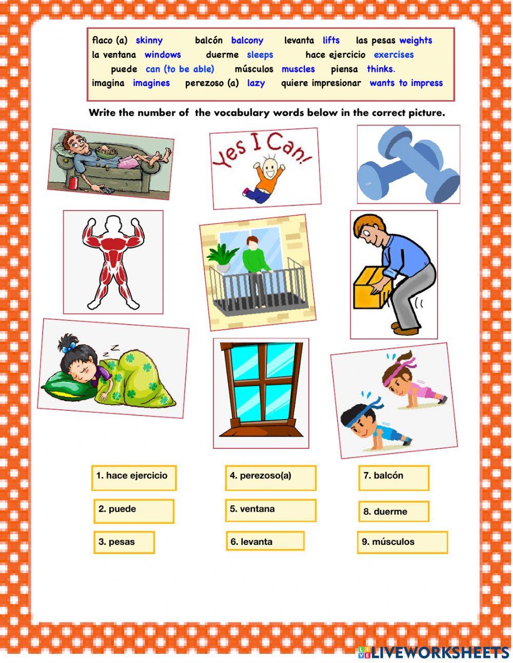 La Chica del Balcón Vocabulary