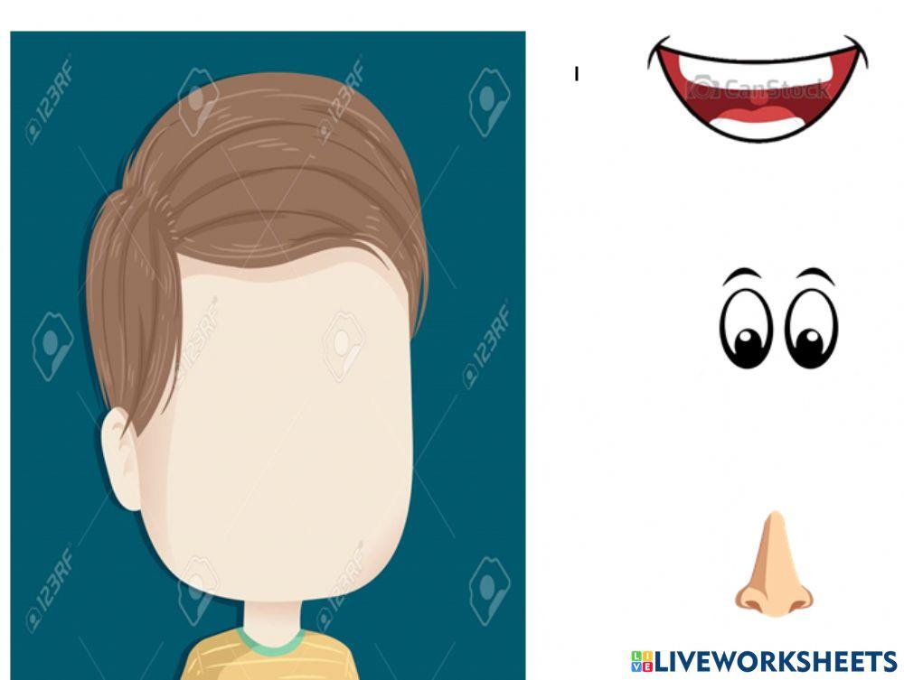 parts of face