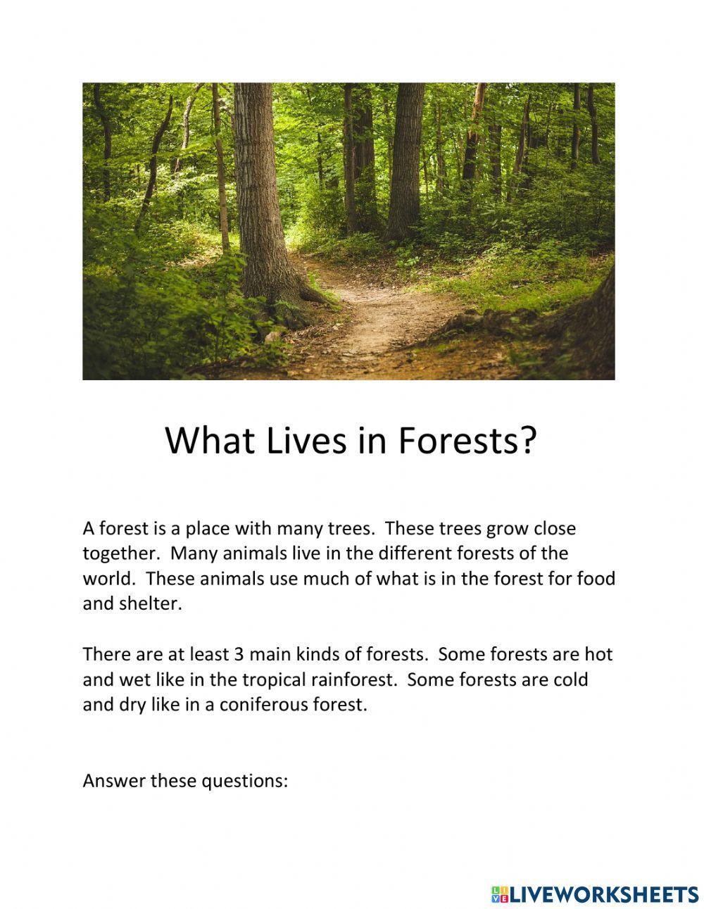 What Lives in the Forest?