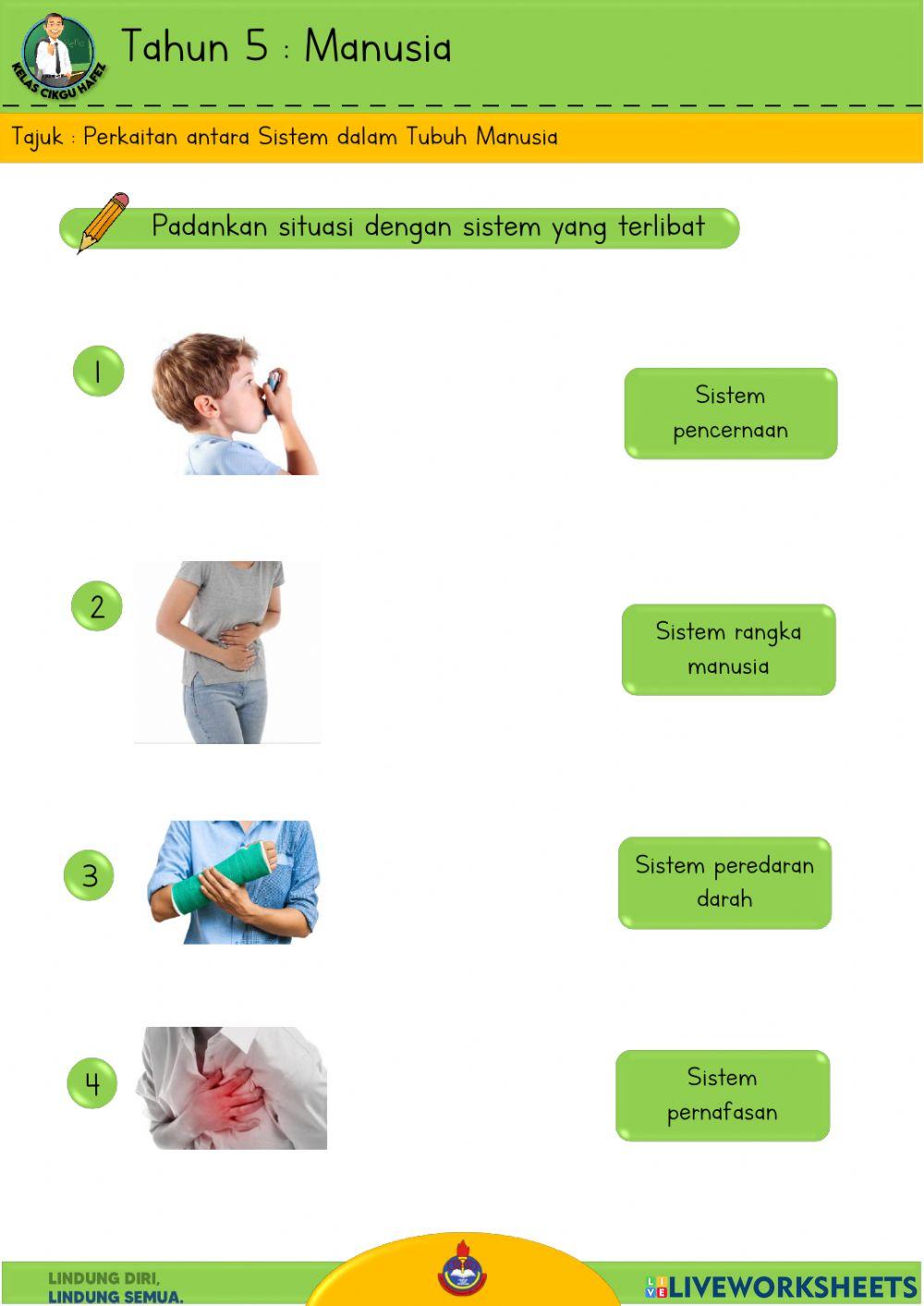 Sains T5 - Perkaitan antara sistem tubuh manusia