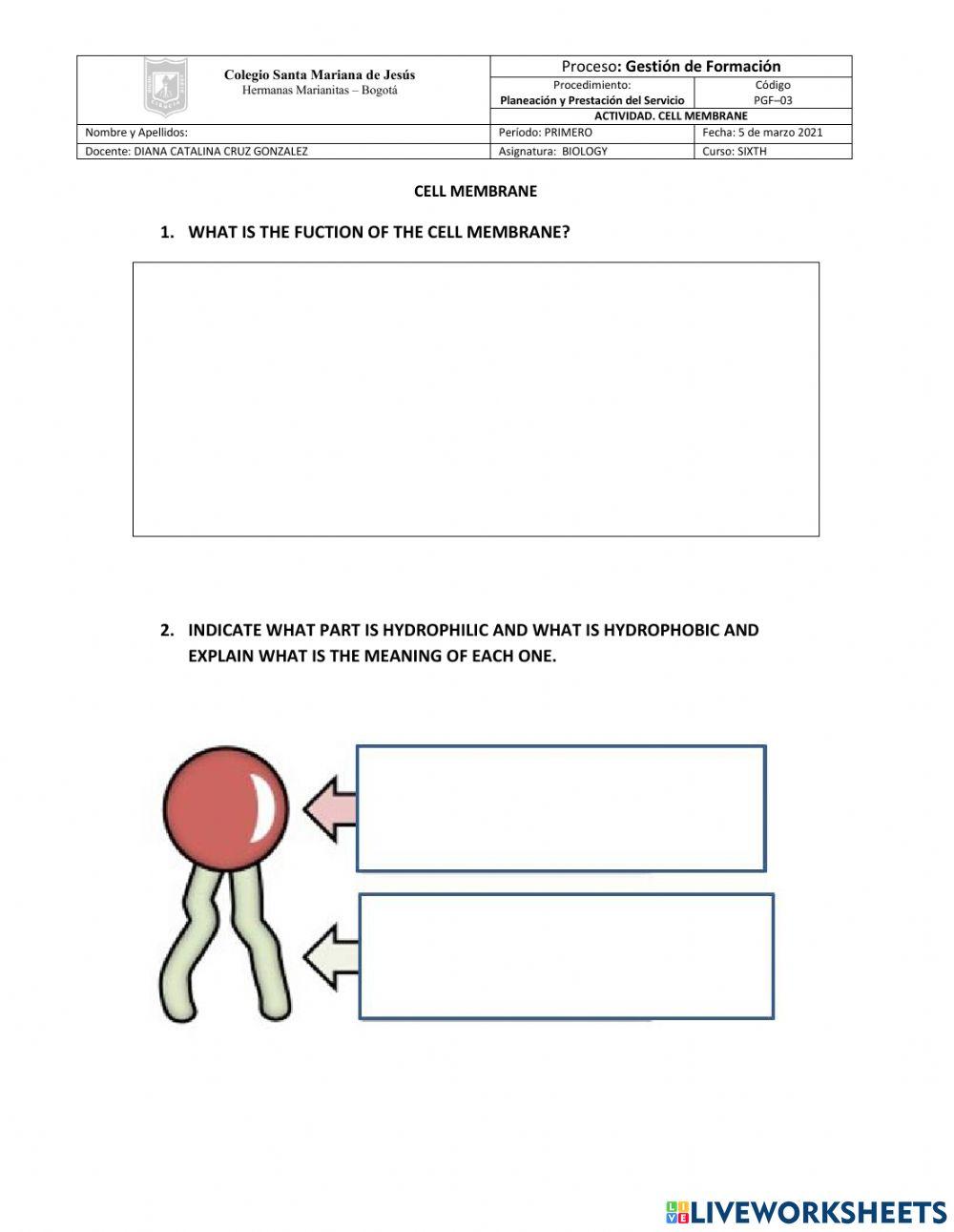 Trasport across cell membrane
