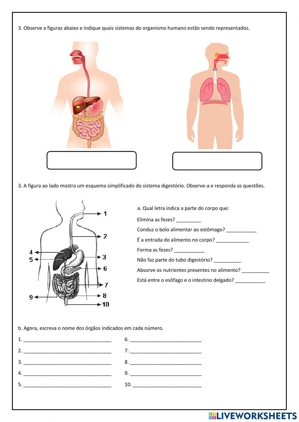 Atividade diagnóstica