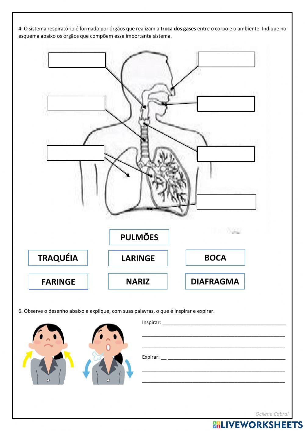 Atividade diagnóstica
