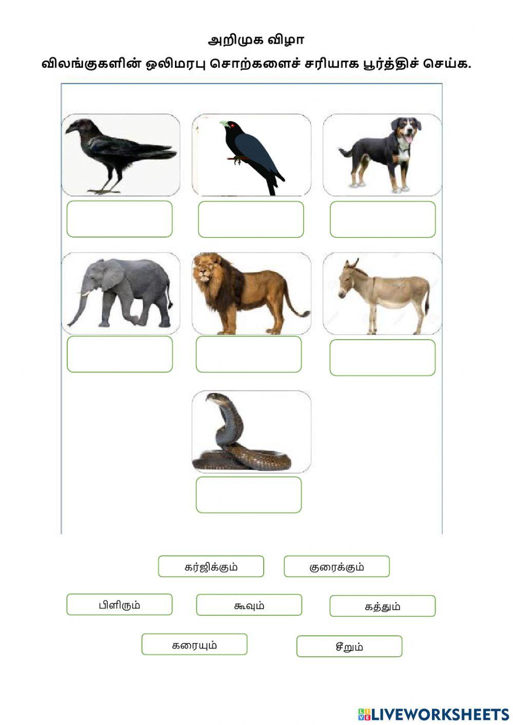 Bahasa Tamil (SK) Tahun 4