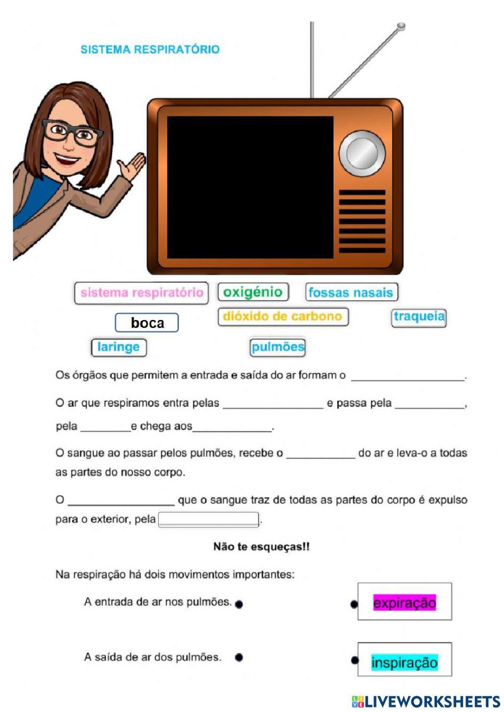 Sistema respiratório