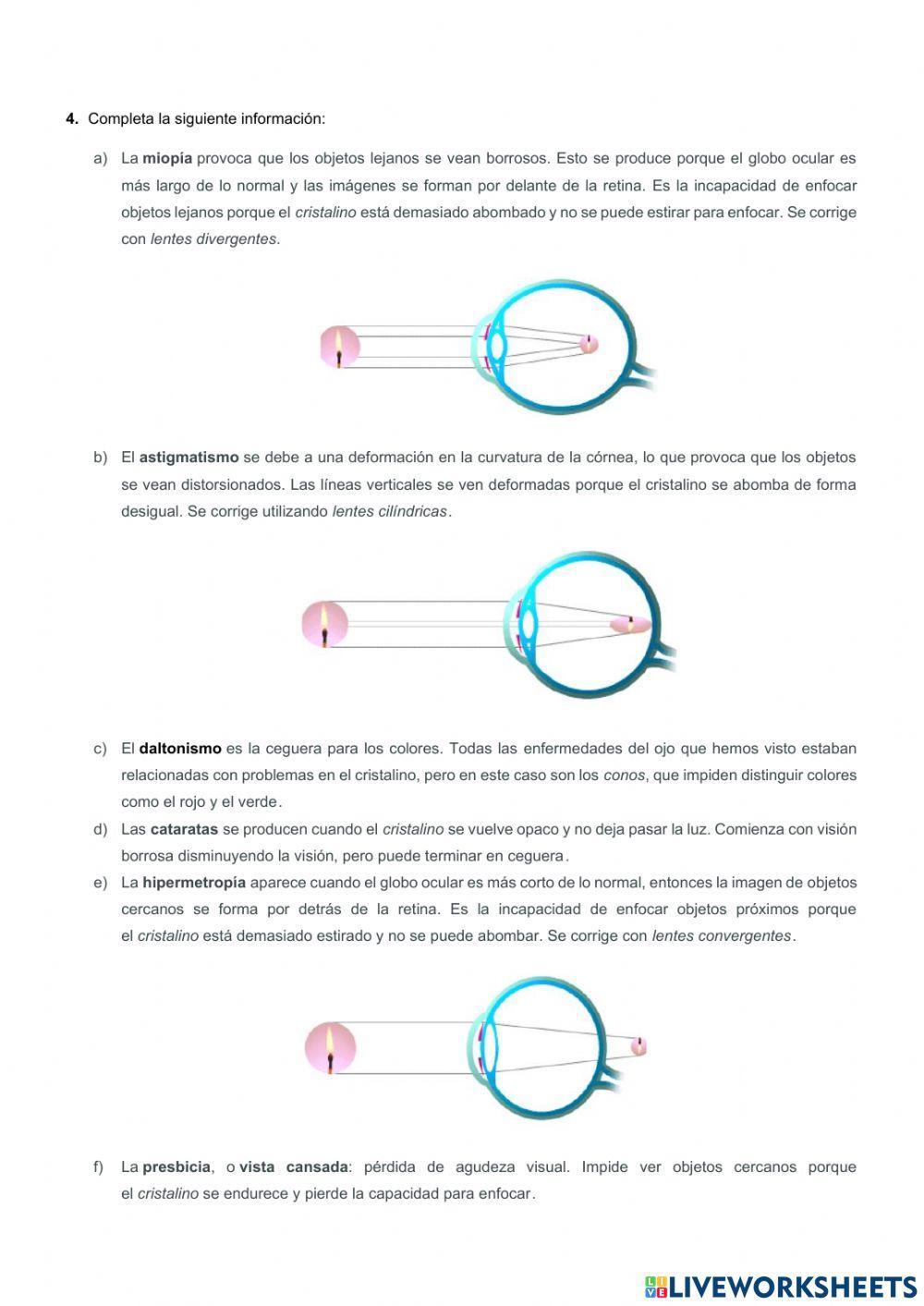 Receptores y efectores. Estímulos y respuestas
