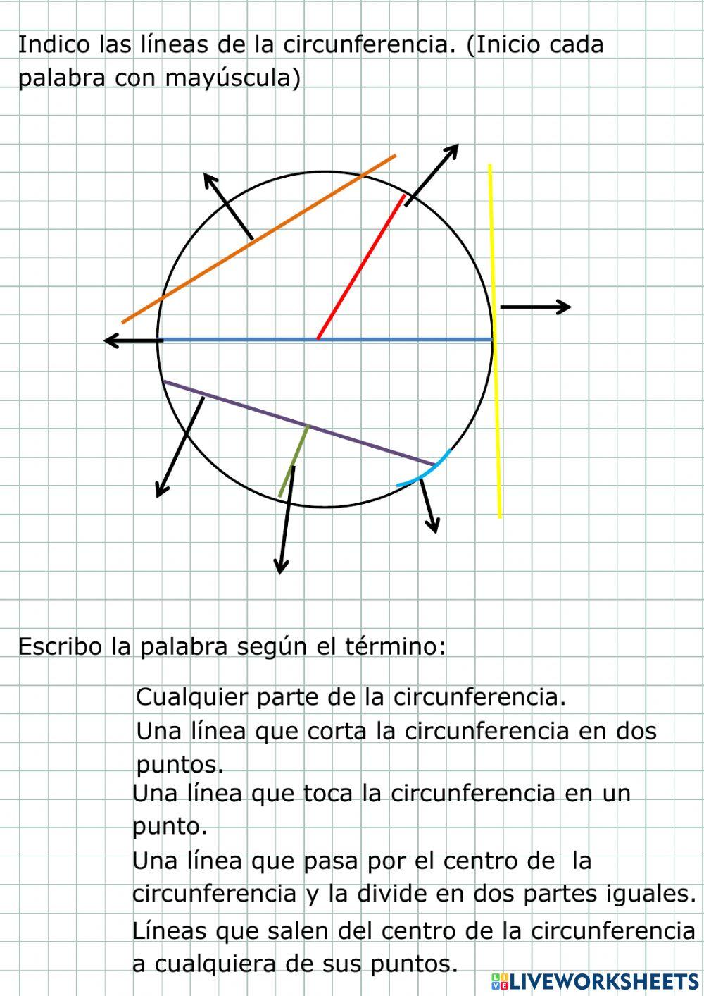 Clases de Líneas y la circunferencia