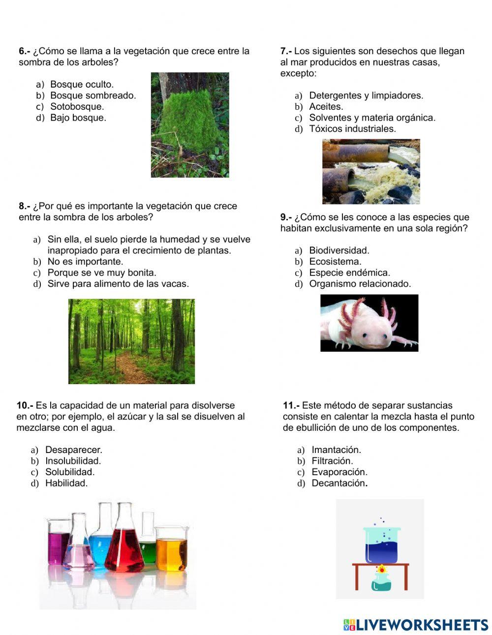 Examen segundo trimestre Ciencias Naturales Quinto