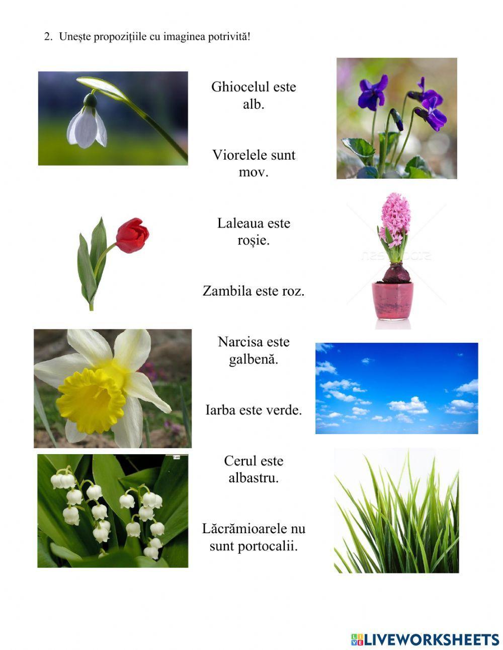 Vine, vine primavara