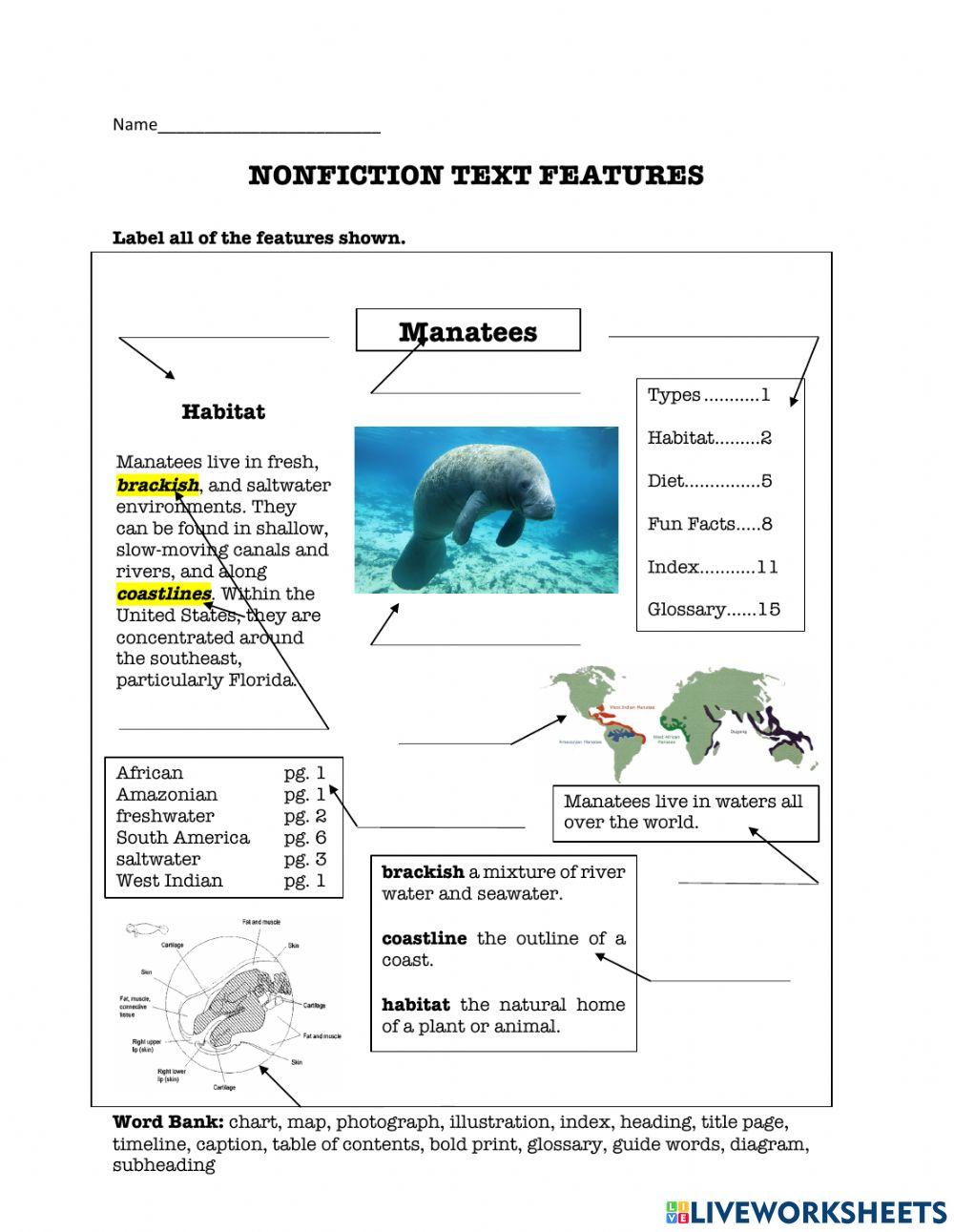 Text Features online exercise for | Live Worksheets