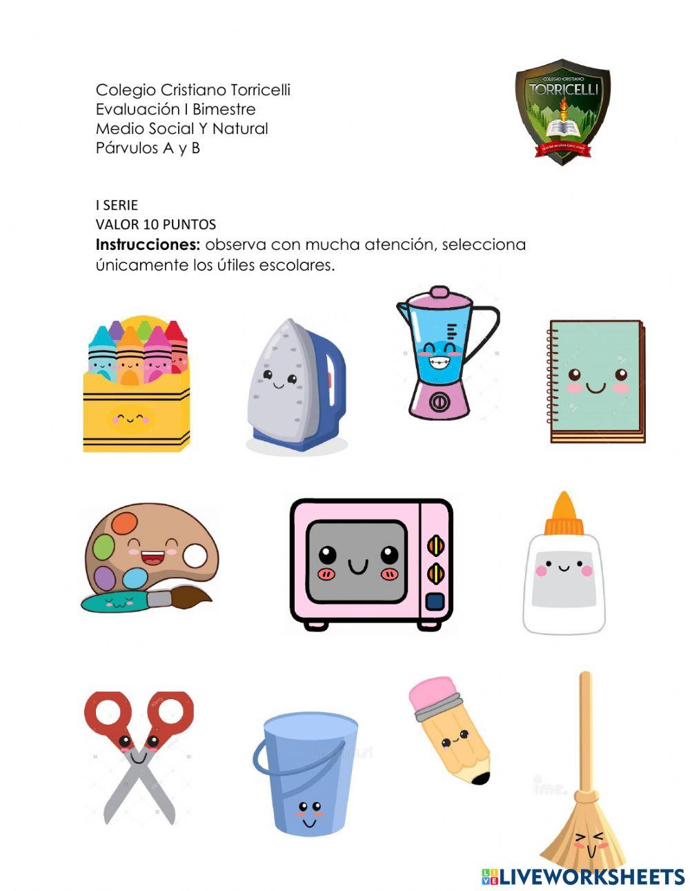 Evaluación- Medio Social y Natural 