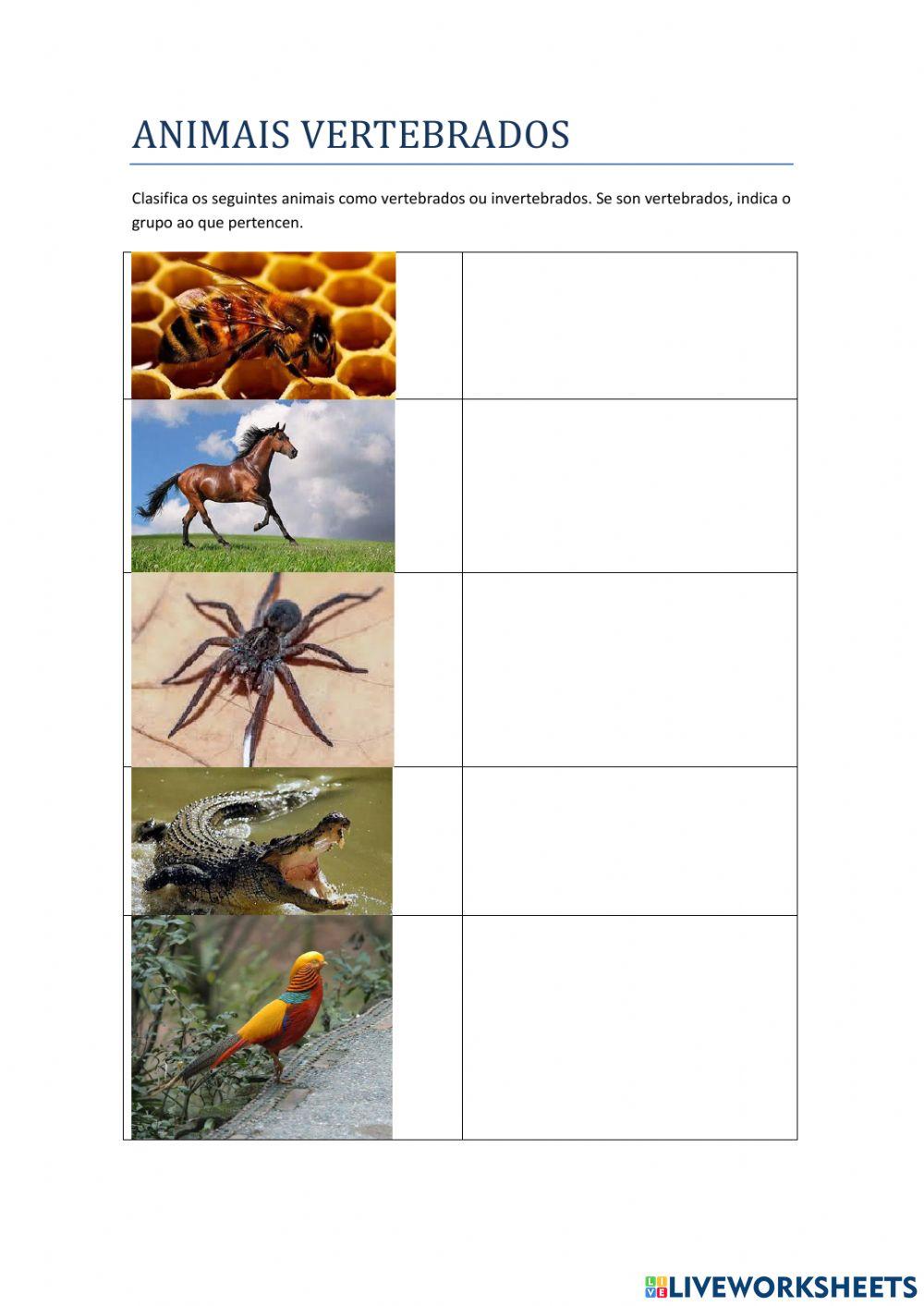 Animais vertebrados e invertebrados