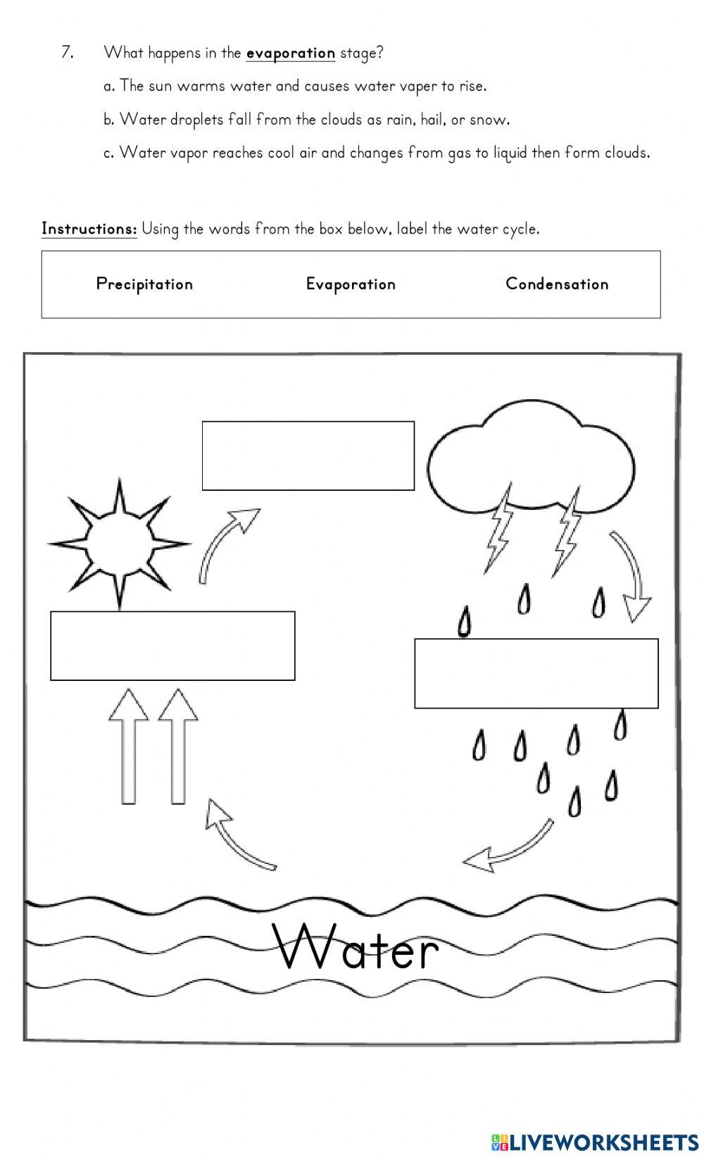The Water Cycle