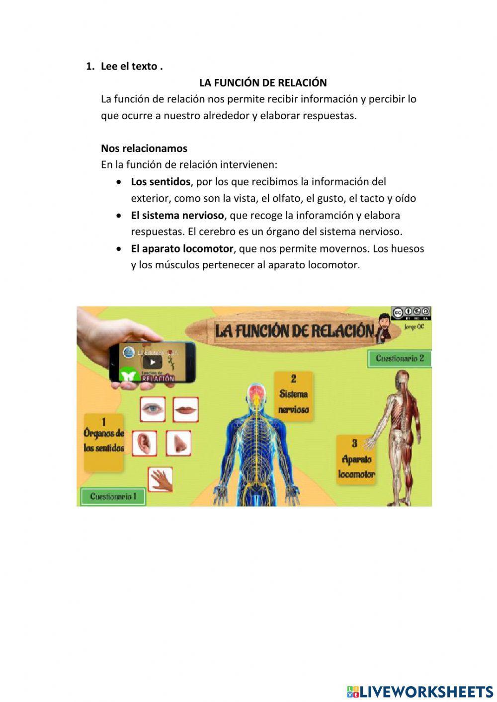 Esquema la funcion de relacion