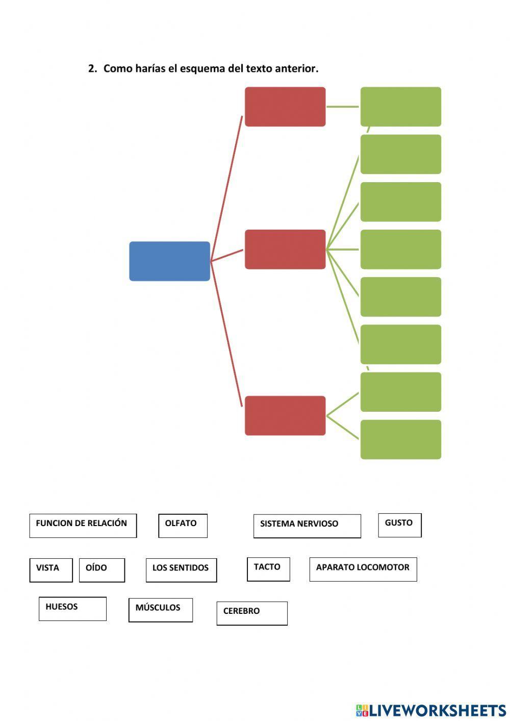 Esquema la funcion de relacion