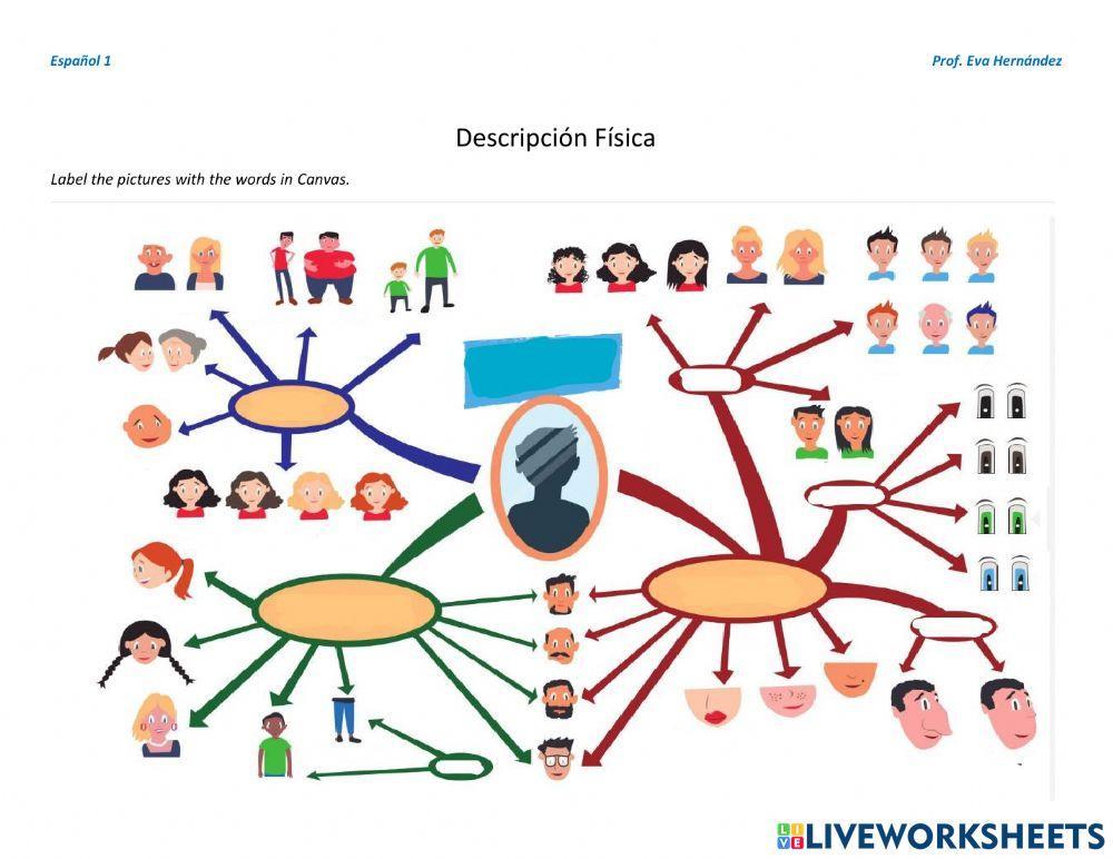 La Descripción Física