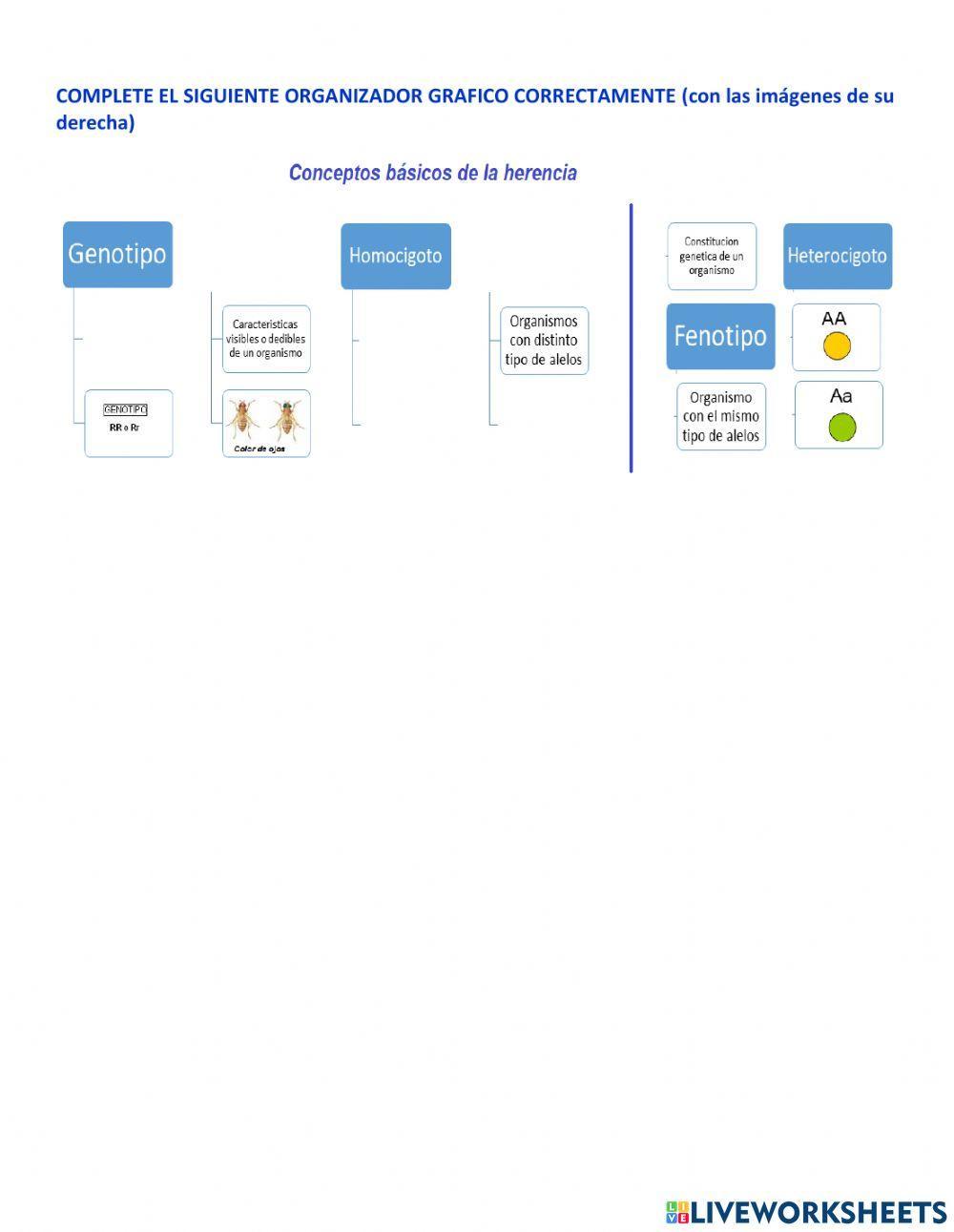 Lección de Herencia genética