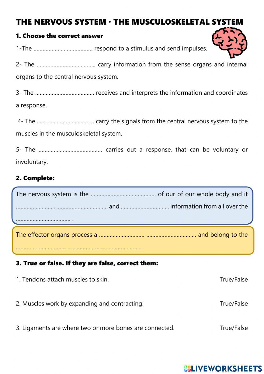 The nervous system and musculoskeletal system