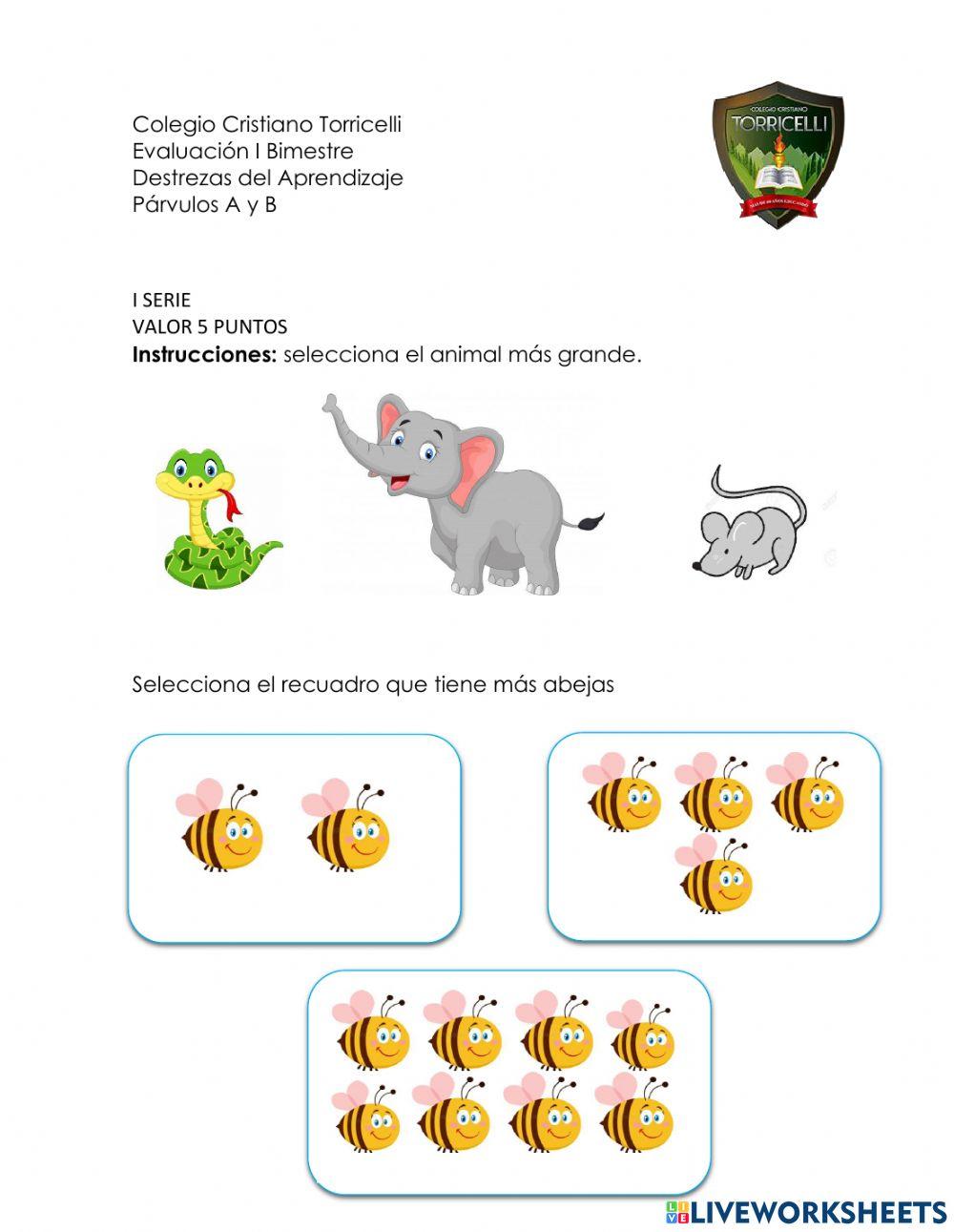 Evaluación- Destrezas de Aprendizaje