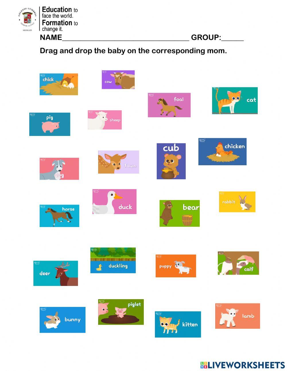 Animals and their babies