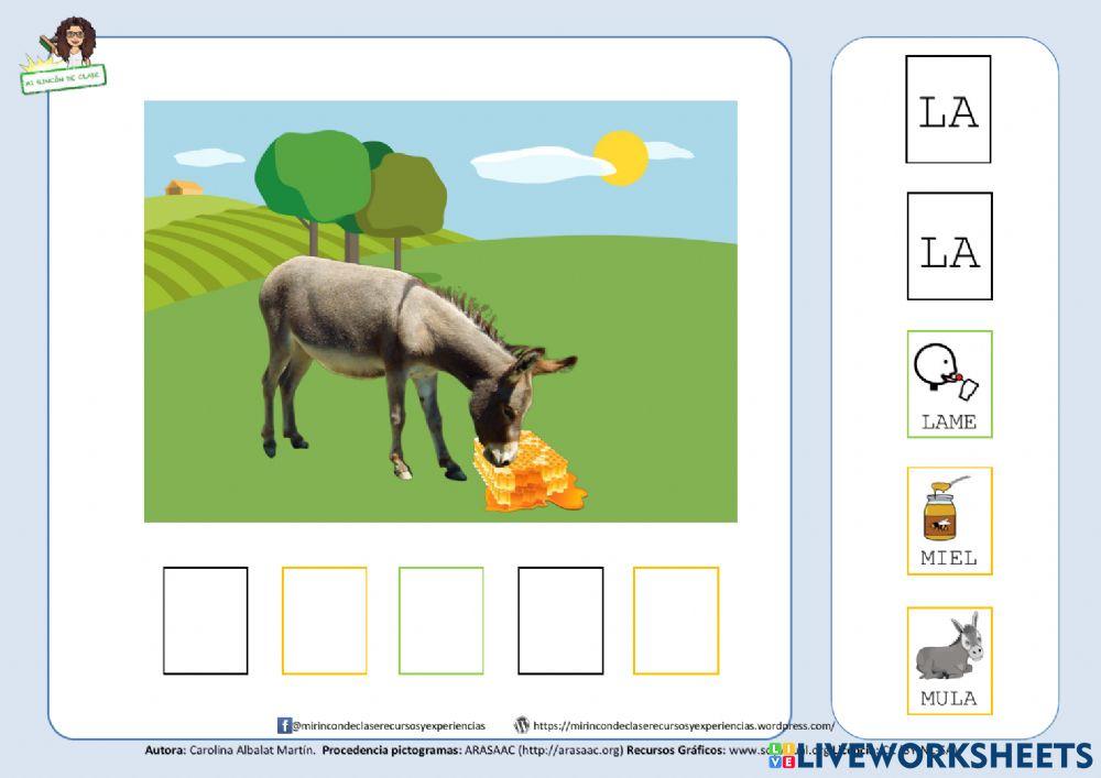 Frase: la mula lame la miel