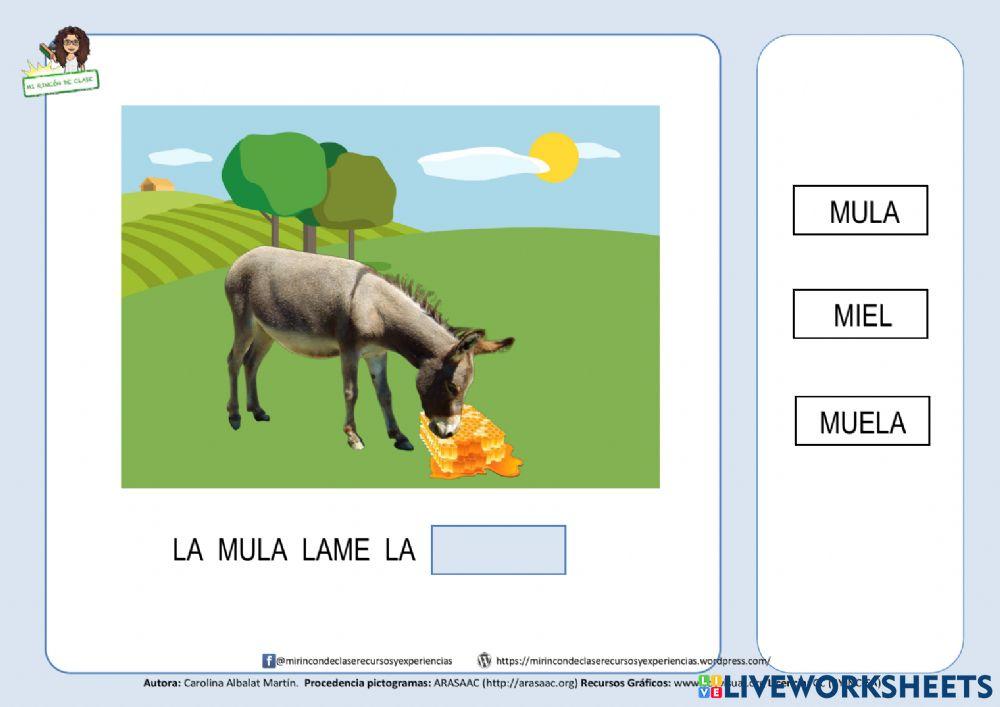 Frase: la mula lame la miel