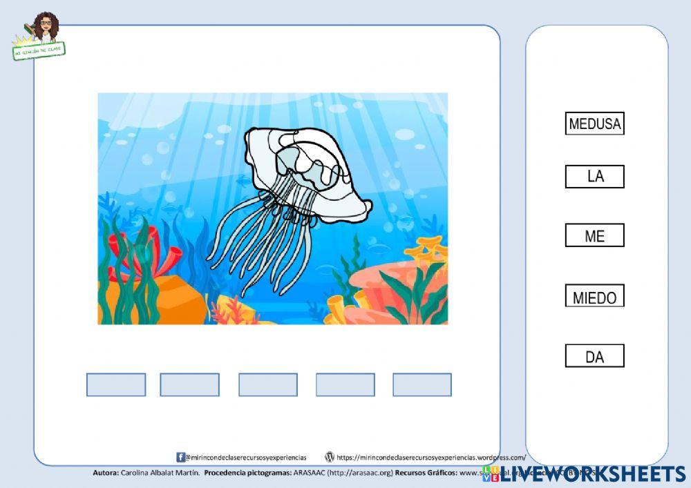 Frase: la medusa me da miedo