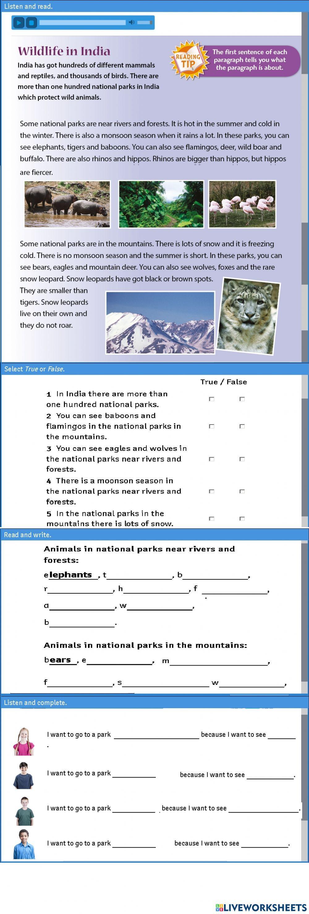 Wild life in india tiger 5 macmillan