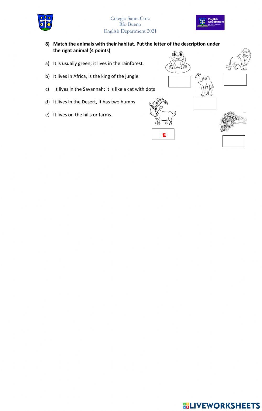 Placement test 7th grade