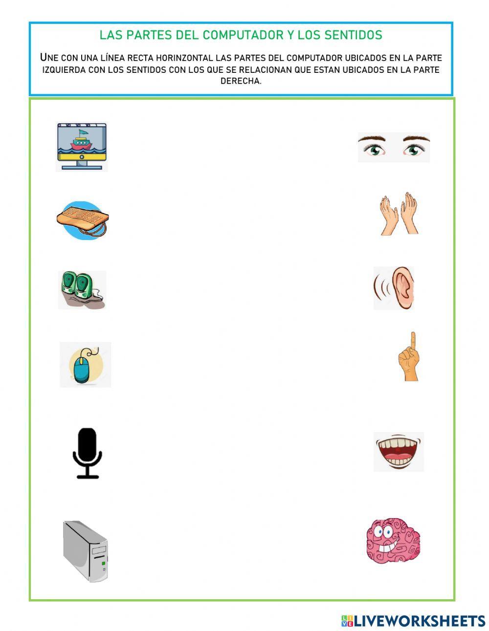 PARTES DEL COMPUTADOR Y SENTIDOS 