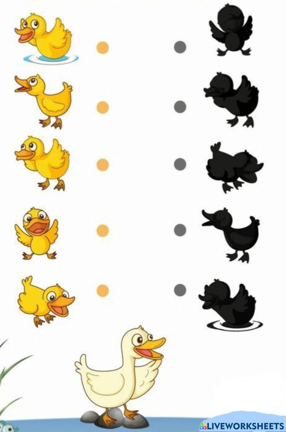 5 Bobocei - Uneste bobocul cu umbra lui