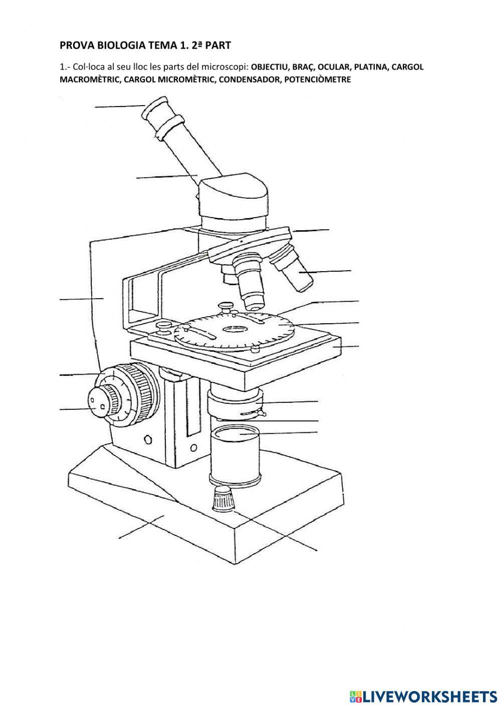 Aparells i sistemes cos humà 2
