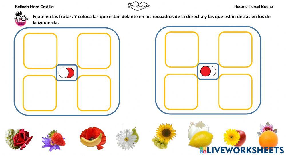 Conceptos básicos: delante-detras