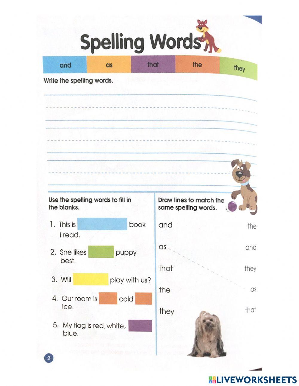 Spelling Workbok