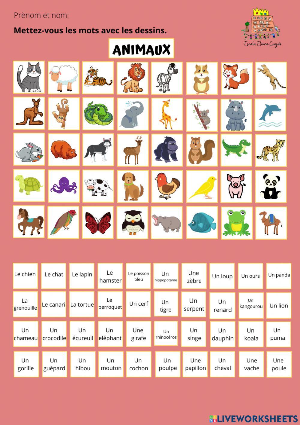 Vocabulaire animaux