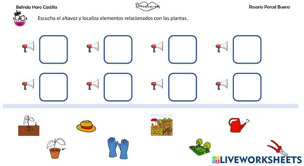 Vocabulario: plantas