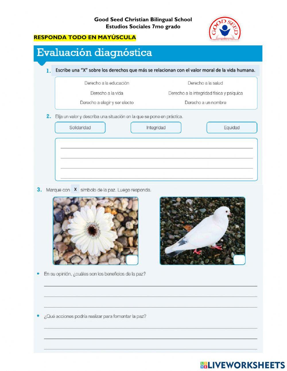 Evaluación diagnóstica U5