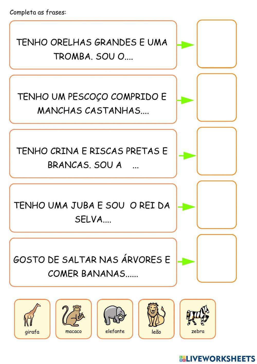 Animais Animais