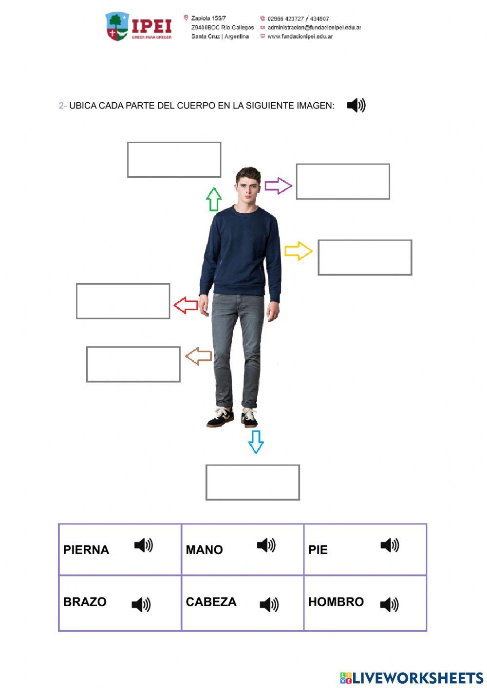 El cuerpo humano y su cuidado