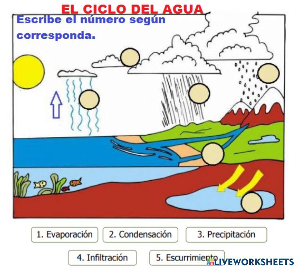 Ciclo del agua
