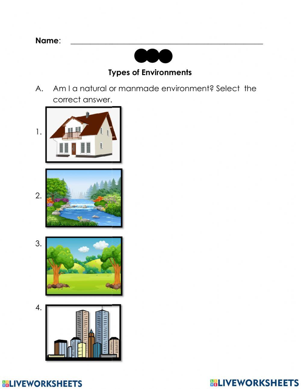 Social Studies Review Liveworksheet