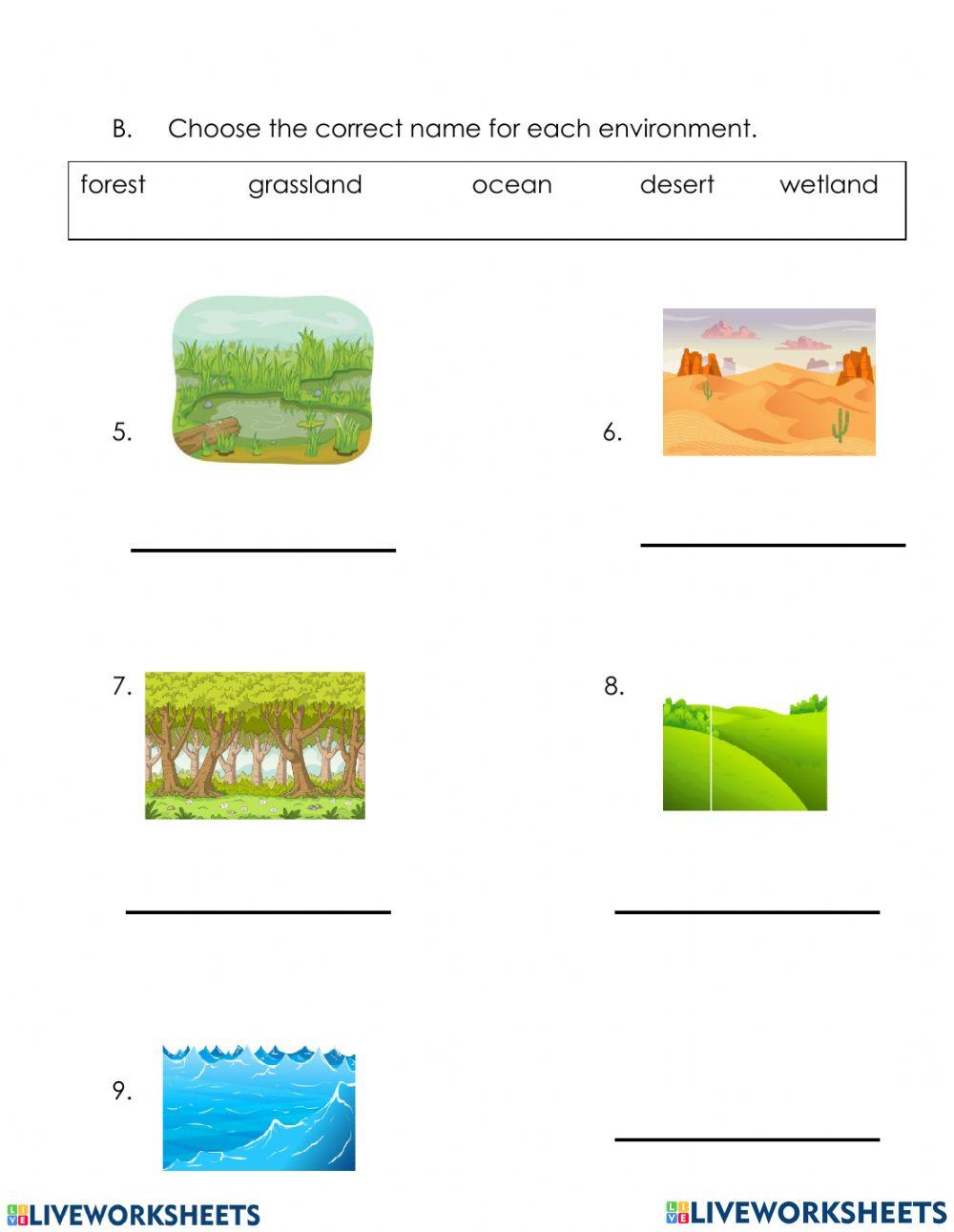 Social Studies Review Liveworksheet