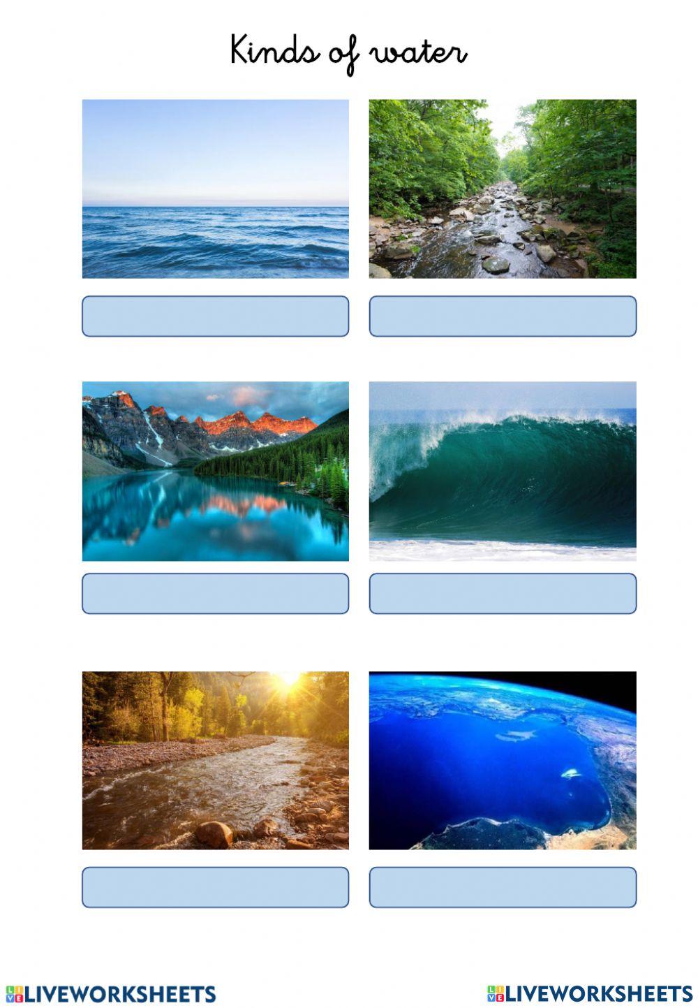 Social Studies Review Liveworksheet