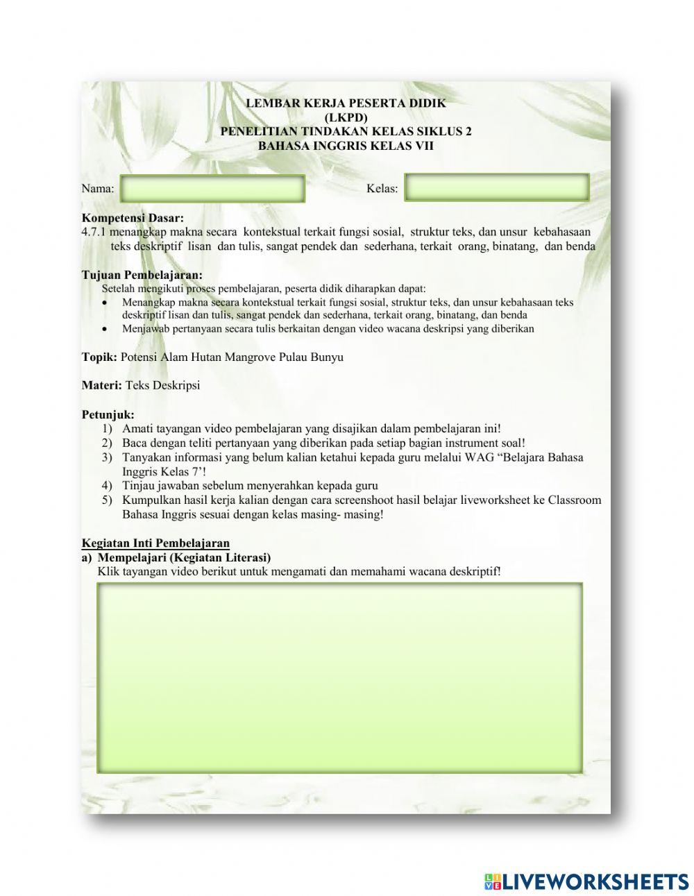 Mangrove Forest of Bunyu Island