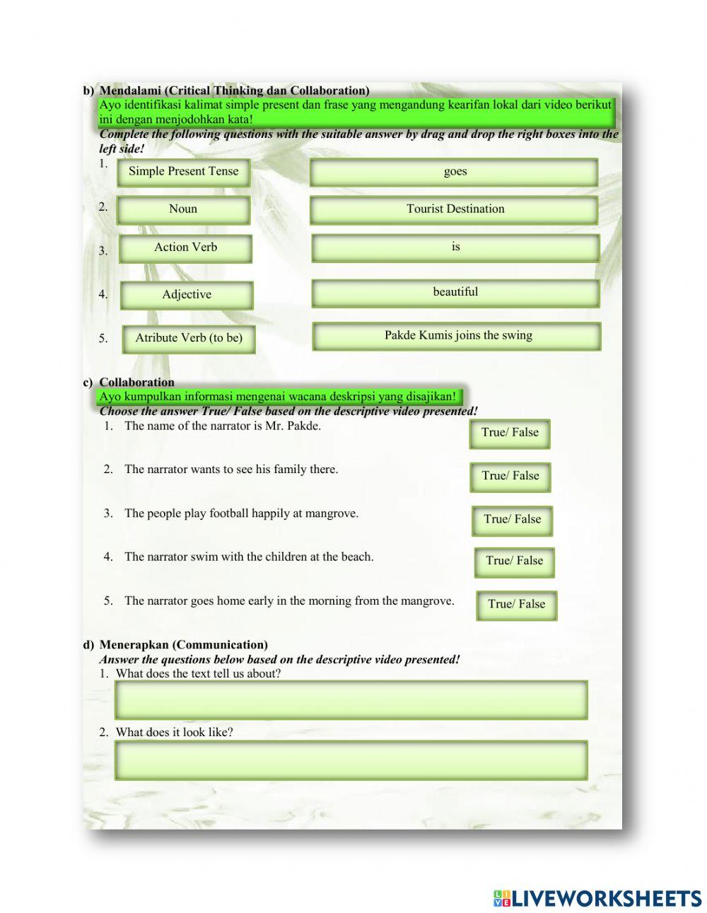 Mangrove Forest of Bunyu Island