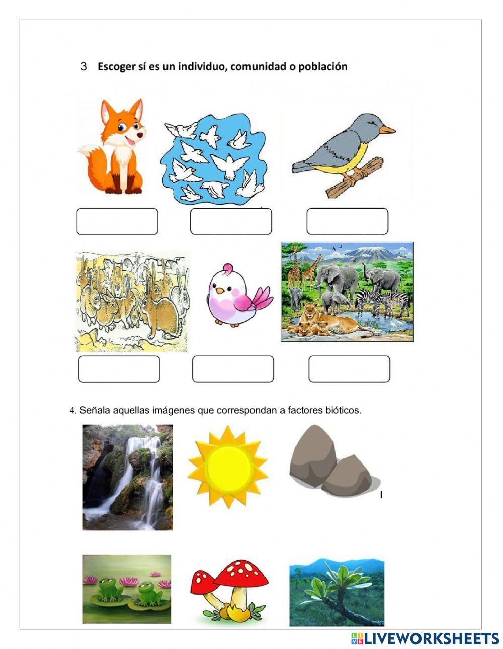 Medio ambiente y seres vivos