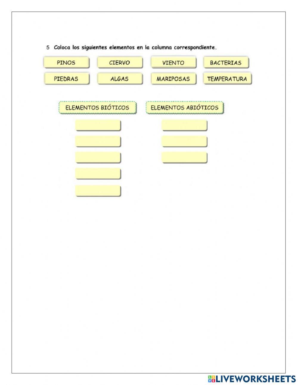 Medio ambiente y seres vivos
